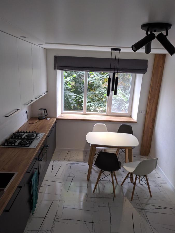 Cozy 75 Apart In Center - 2Х Кімнатна Квартира В Центрі Кропивницького Kropivnickij Kültér fotó
