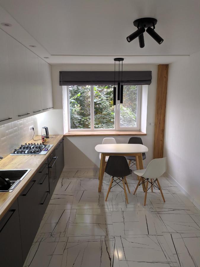 Cozy 75 Apart In Center - 2Х Кімнатна Квартира В Центрі Кропивницького Kropivnickij Kültér fotó